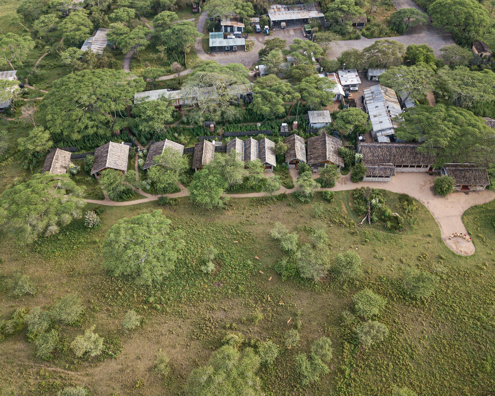 Ndutu safari lodge