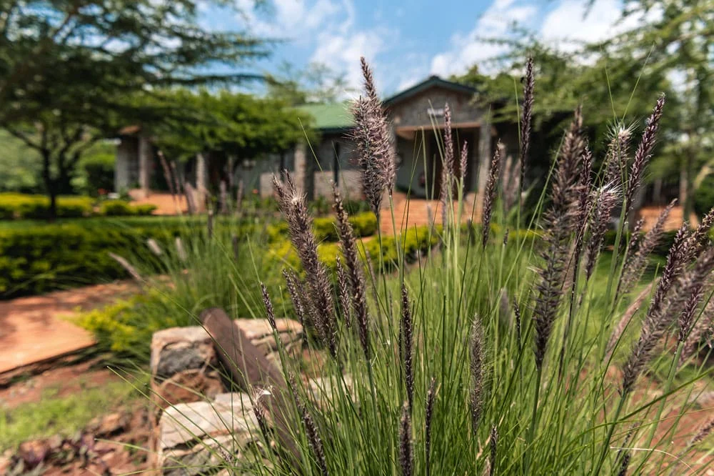 Ngorongoro Oldeani Mountain Lodge