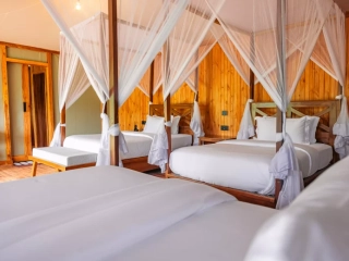 Sightseeing Luxury Tented Lodge