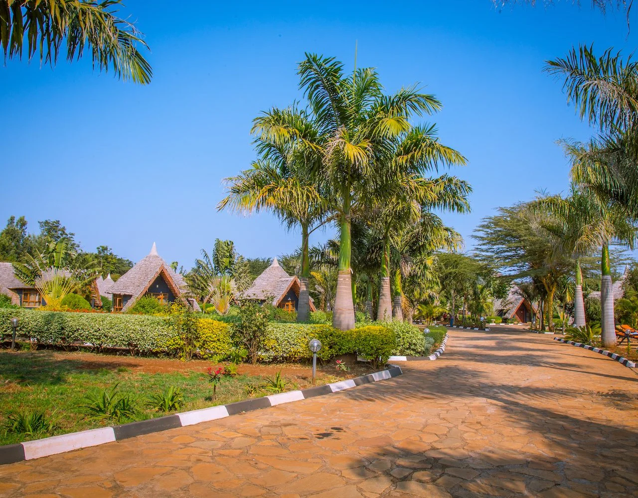 Farm of dream lodge 