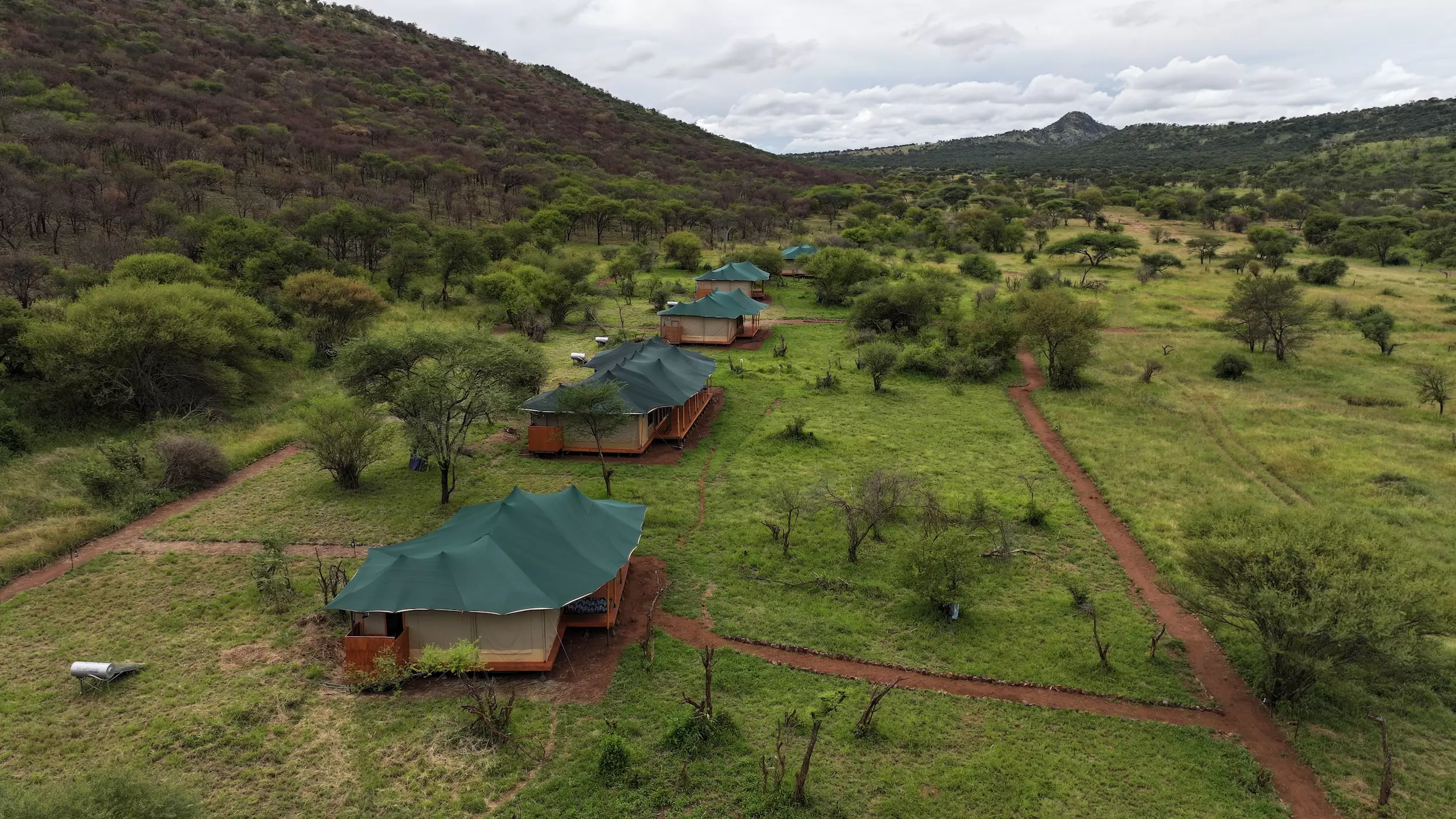Safari haven serengeti