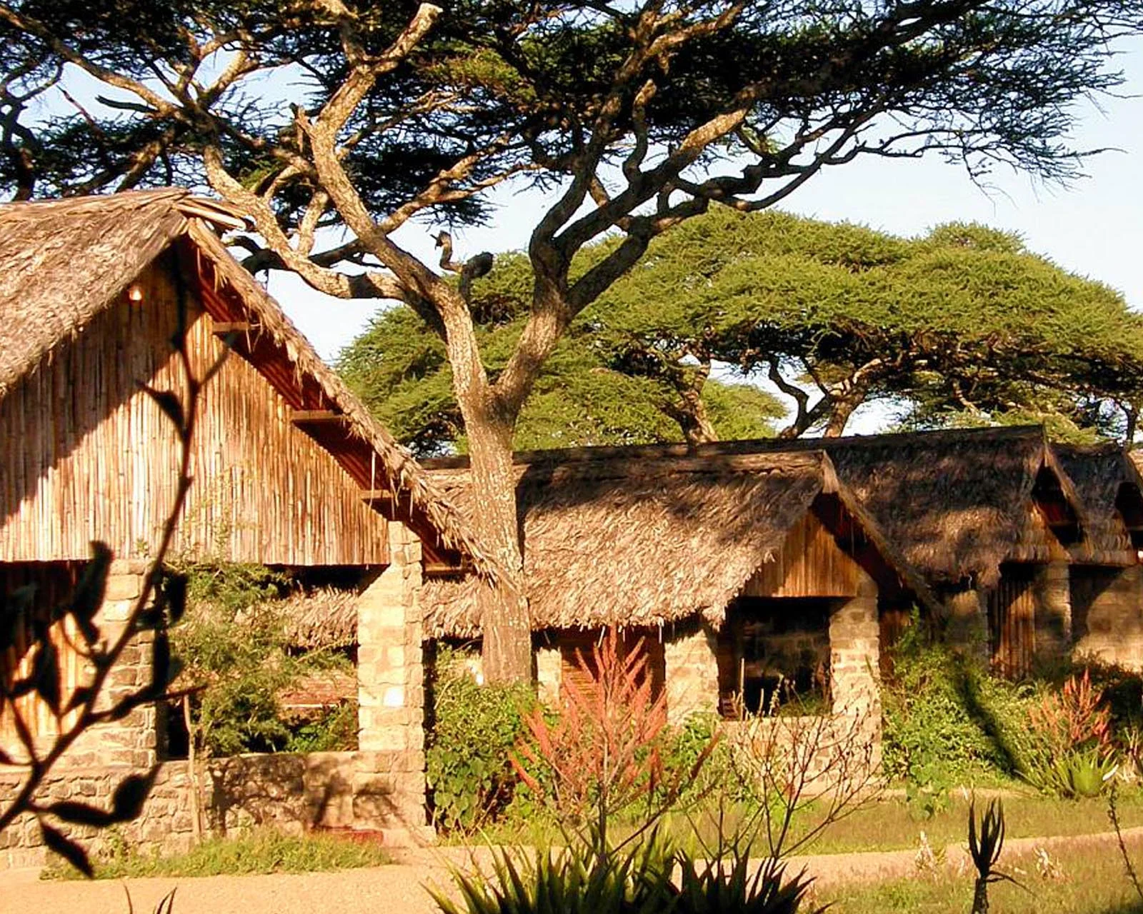 Ndutu safari lodge – photo 4