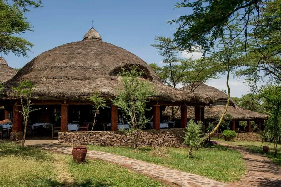 Exterior of Serengeti Serena Safari Lodge with traditional thatched architecture, stone pathways and trees in the Serengeti.