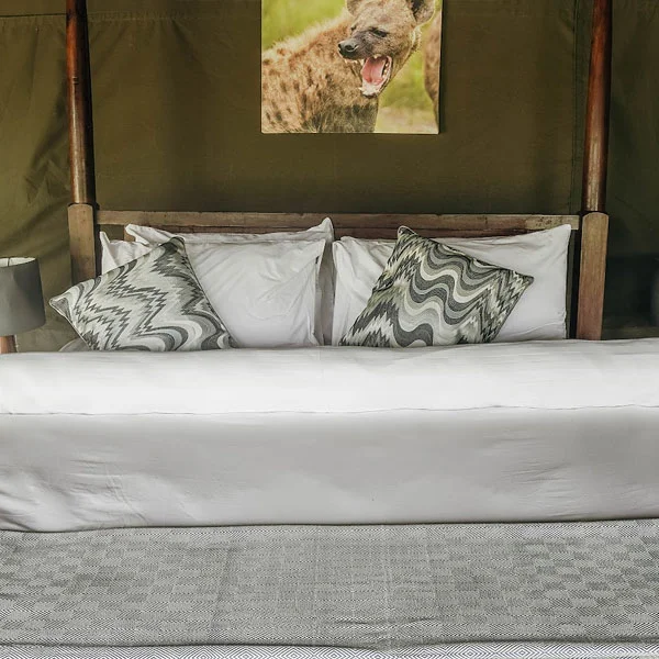 Ang'ata migration camp ndutu  – photo 7