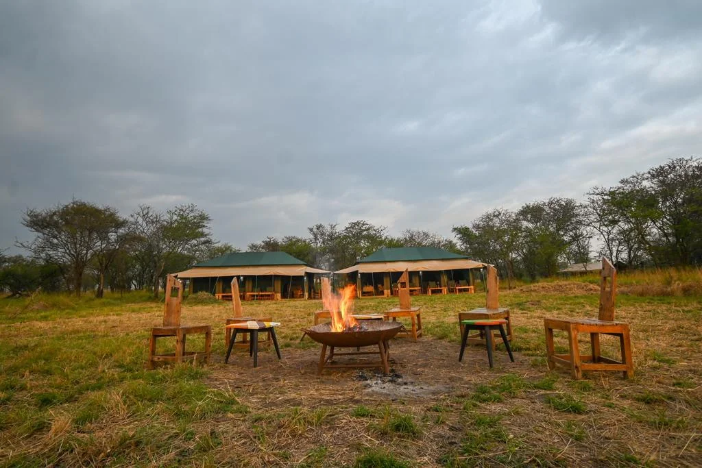 Nasikia mobile migration camp (ndutu) – photo 10