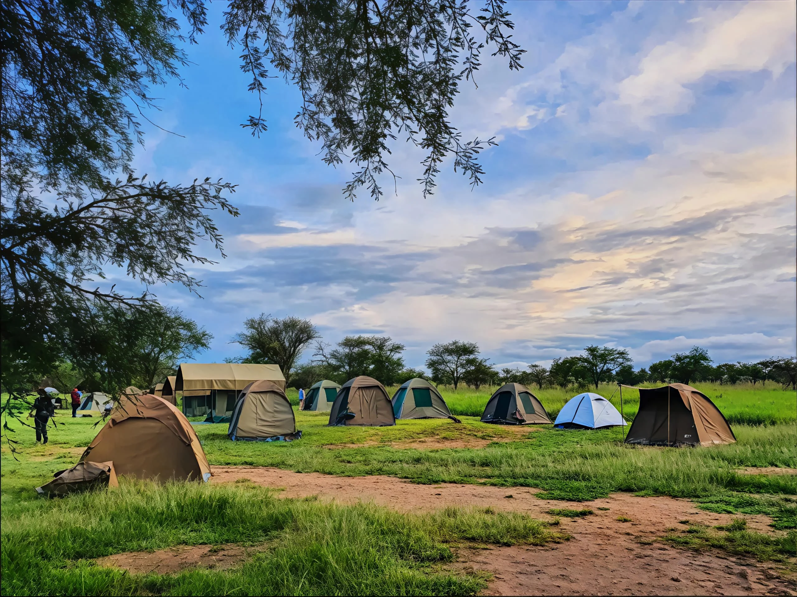 Seronera Public Campsites – Central serengeti