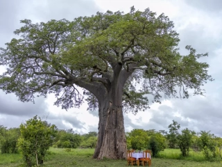 Safari haven tarangire camp