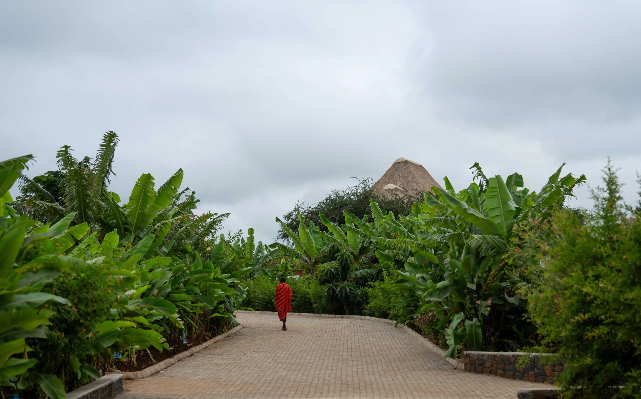 Nyota rift valley