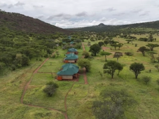 Safari haven serengeti