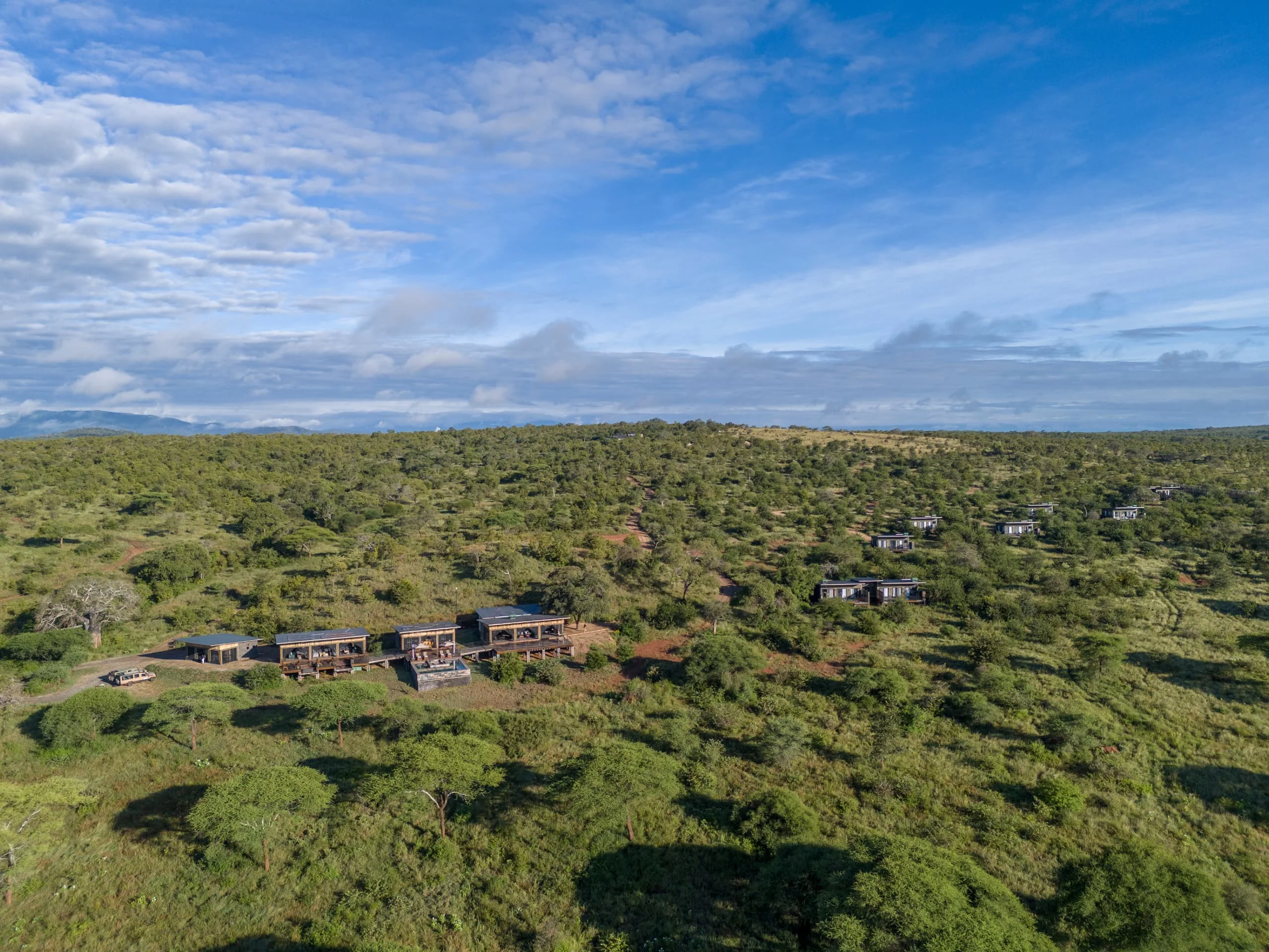 Tarangire elephant springs