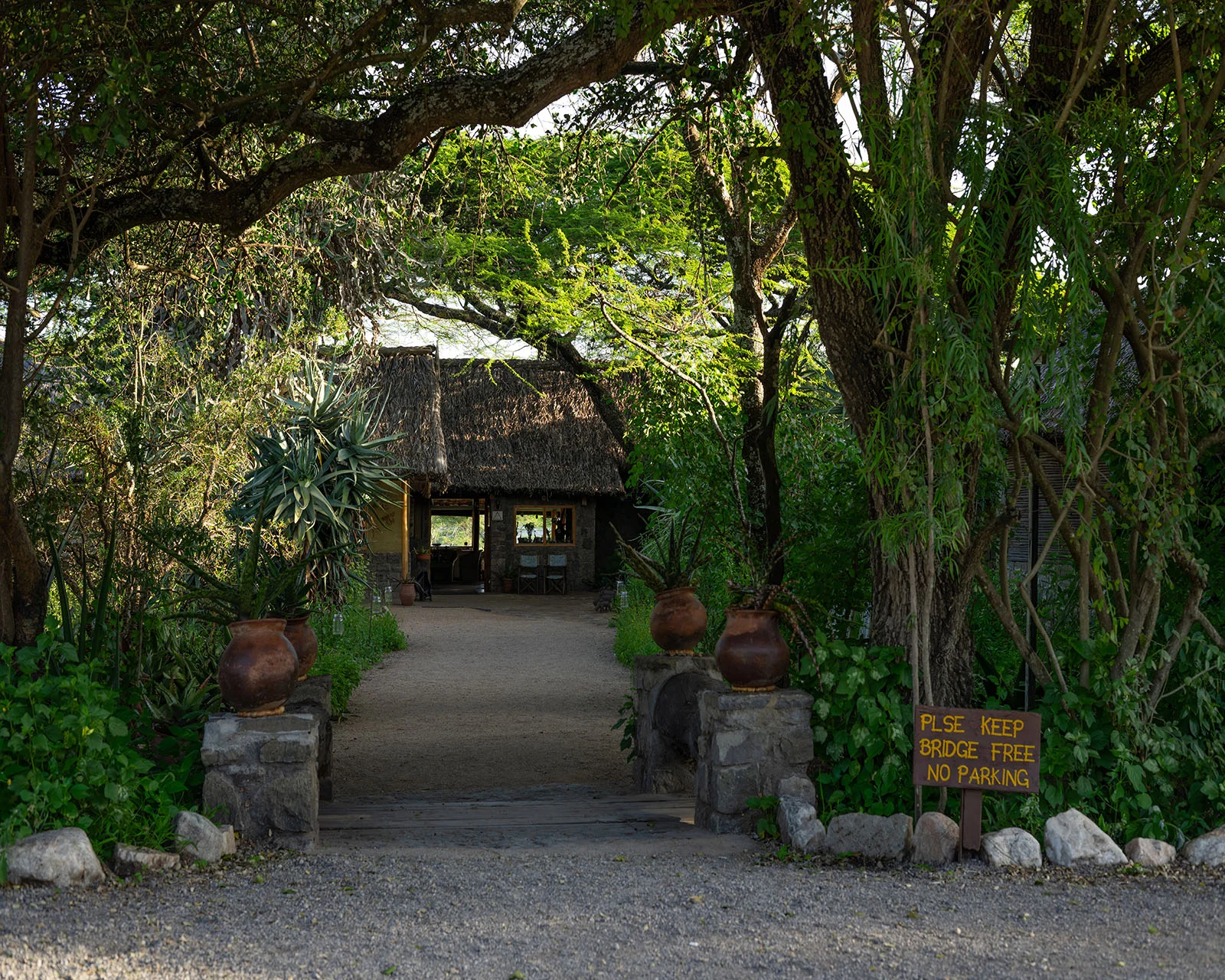 Ndutu safari lodge – photo 8