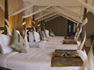 Safari haven serengeti