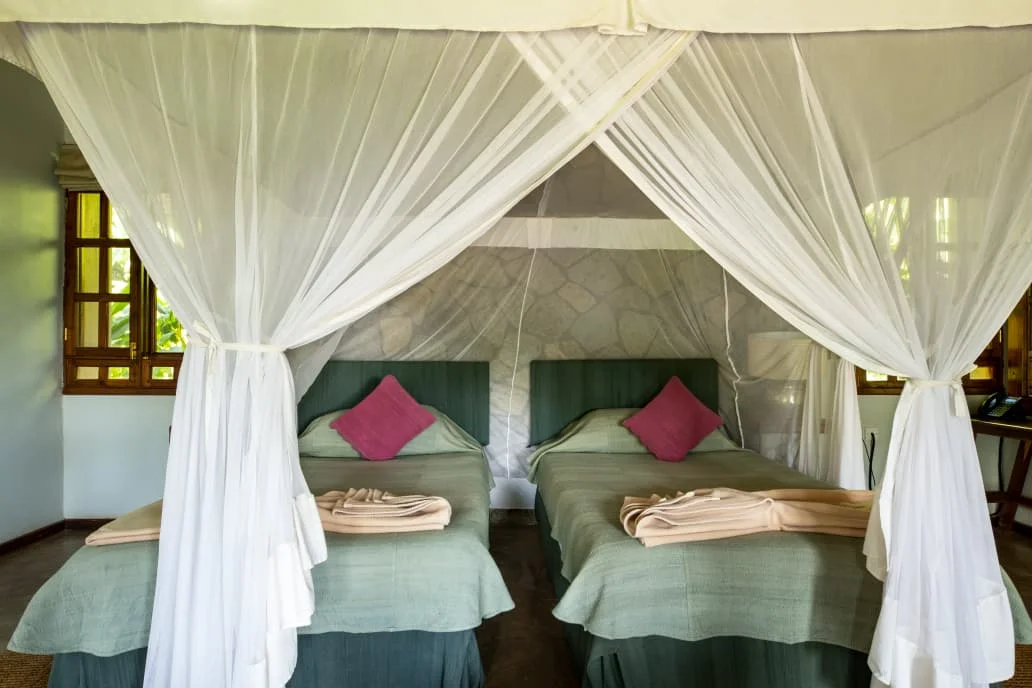 Kitela lodge