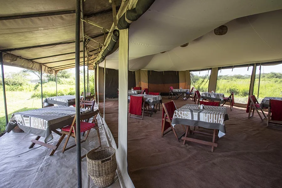 Nyikani migration camp ndutu – photo 6