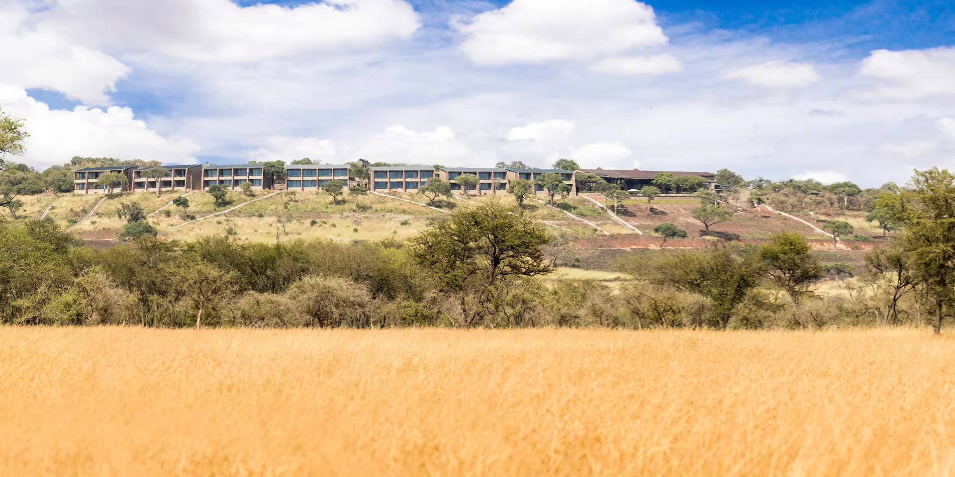 Meliá Serengeti Lodge – Meliá Collection – photo 3