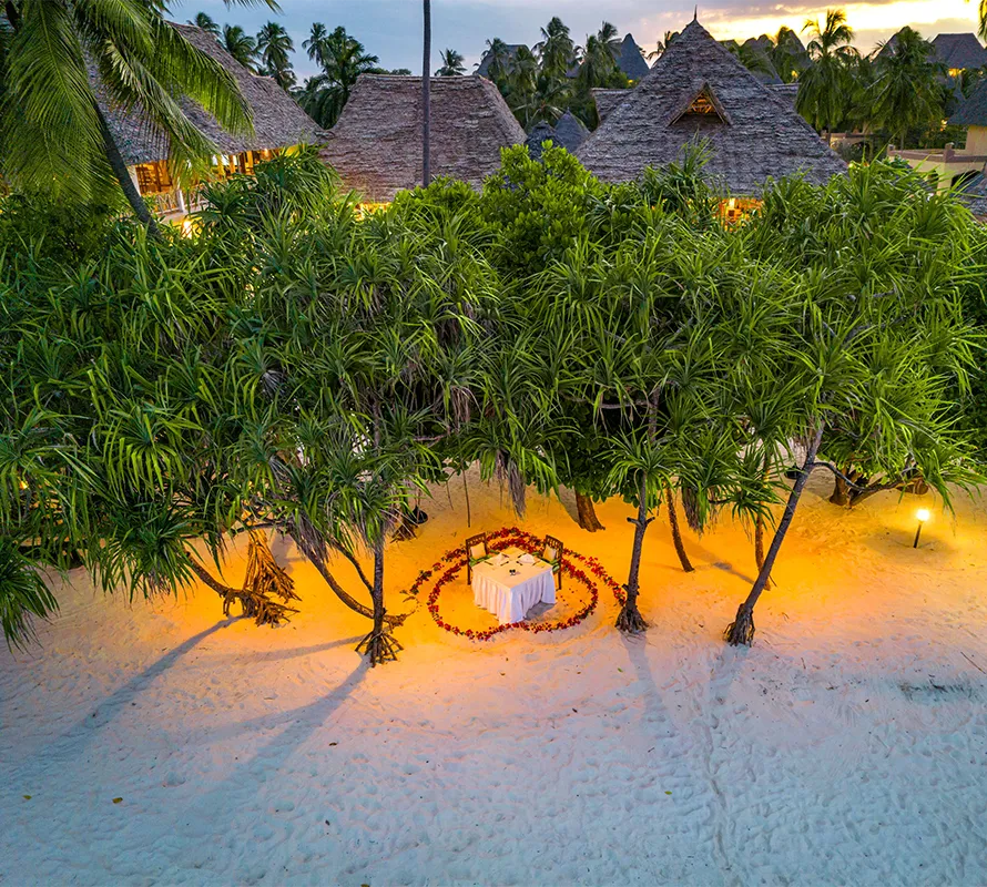 Aerial view of thatched resort pavilions nestled among palm trees near the beach.