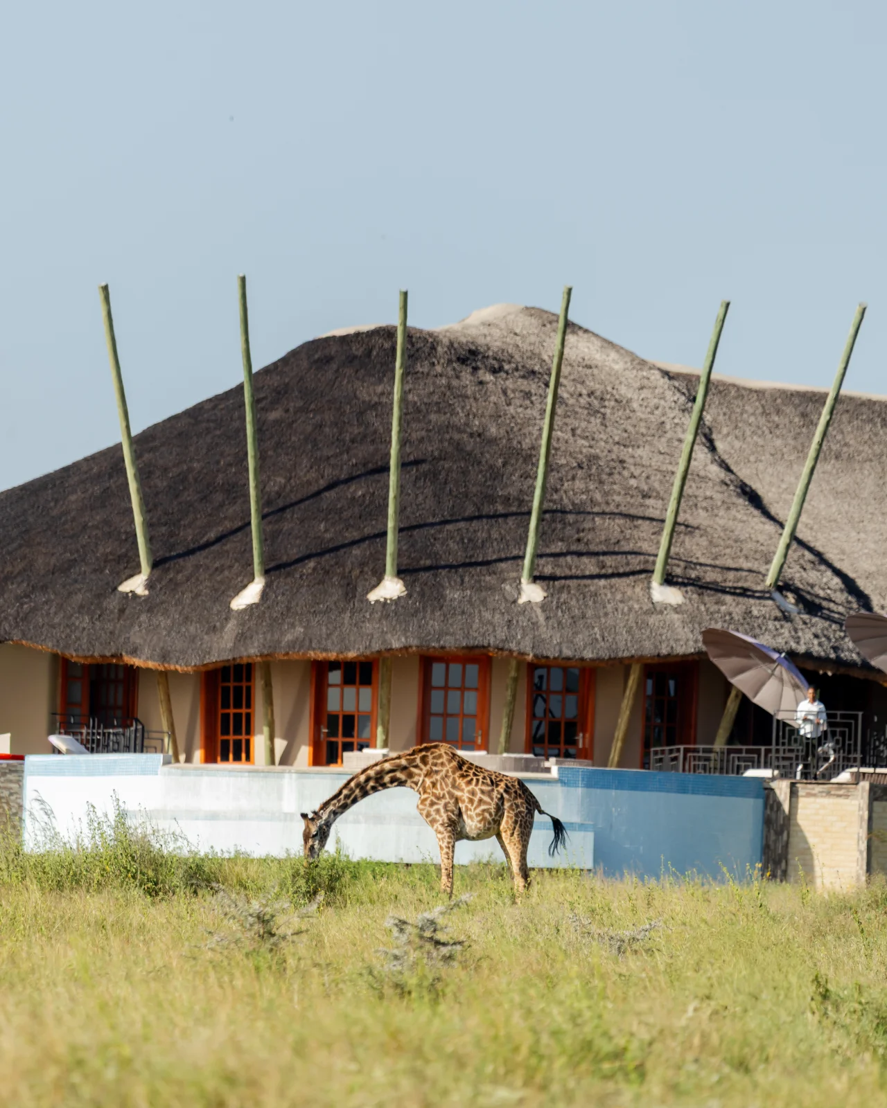 olkarien eco safari lodge – photo 5
