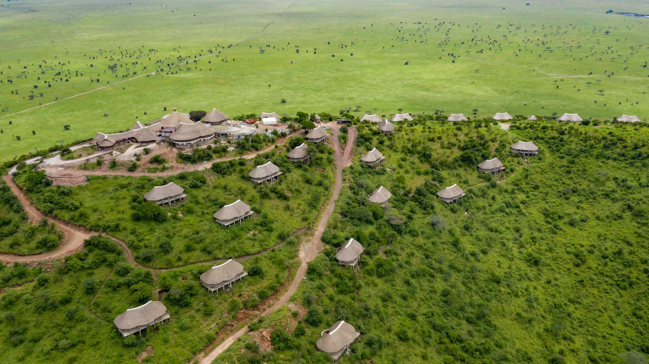Serengeti lake magadi