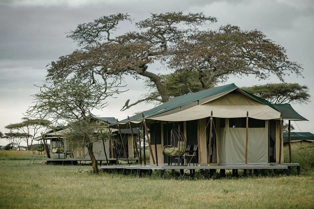 Wellworth Ole Serai Luxury Camp – Turner Springs