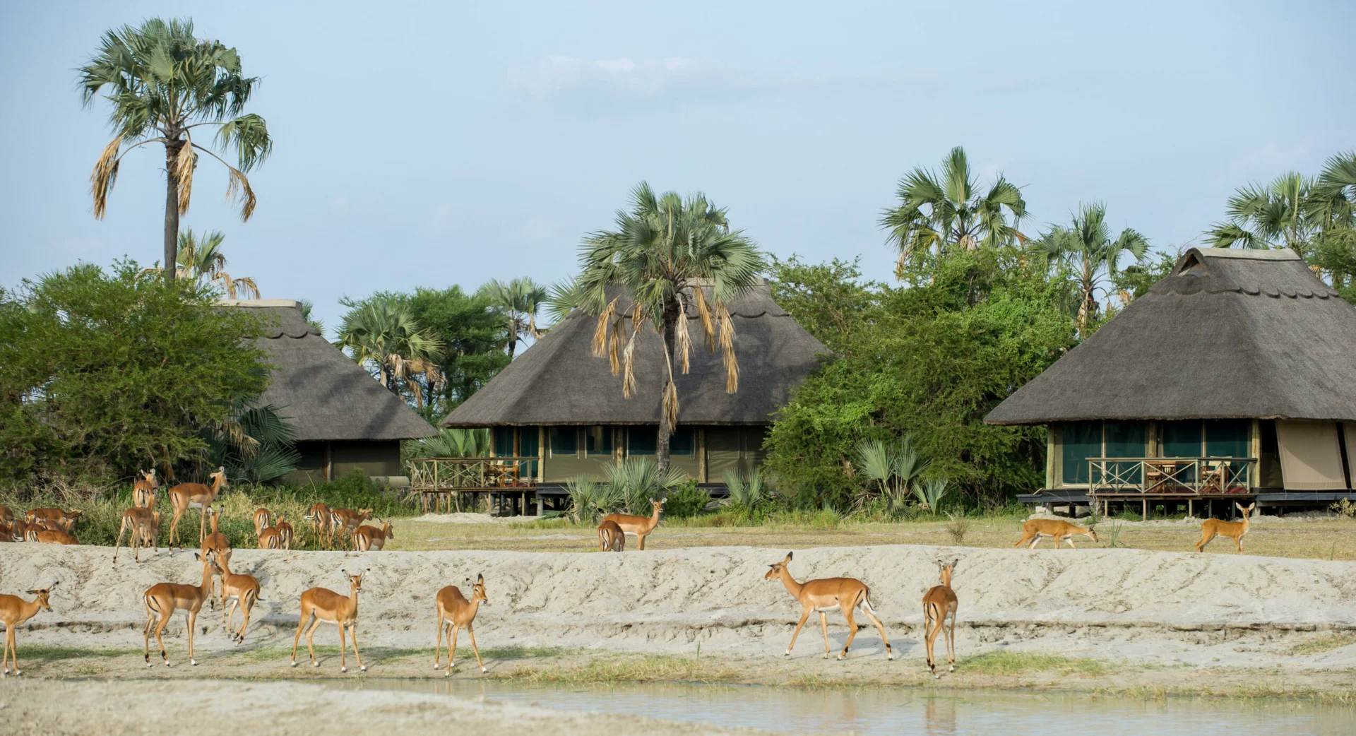 Maromboi Tented lodge – photo 6