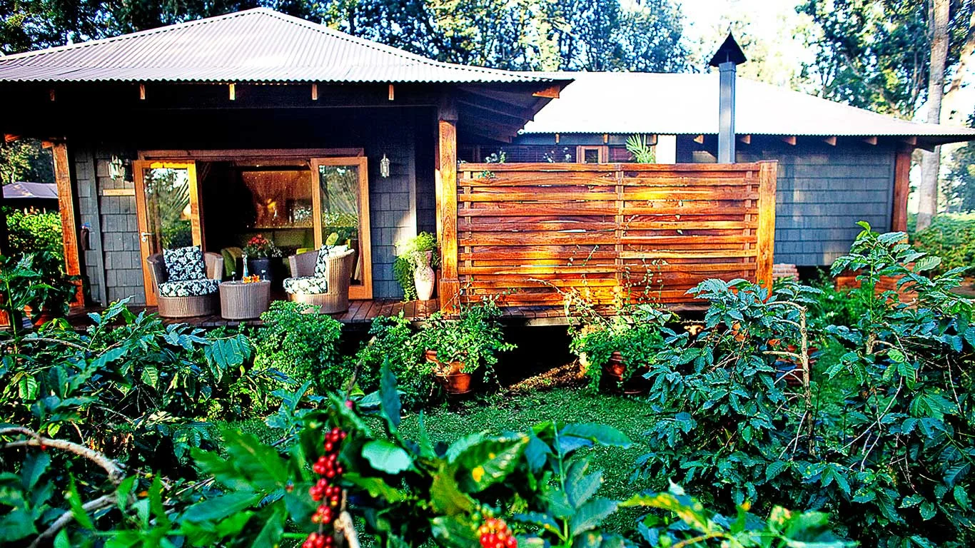 Elewana Arusha Coffee Lodge – photo 7