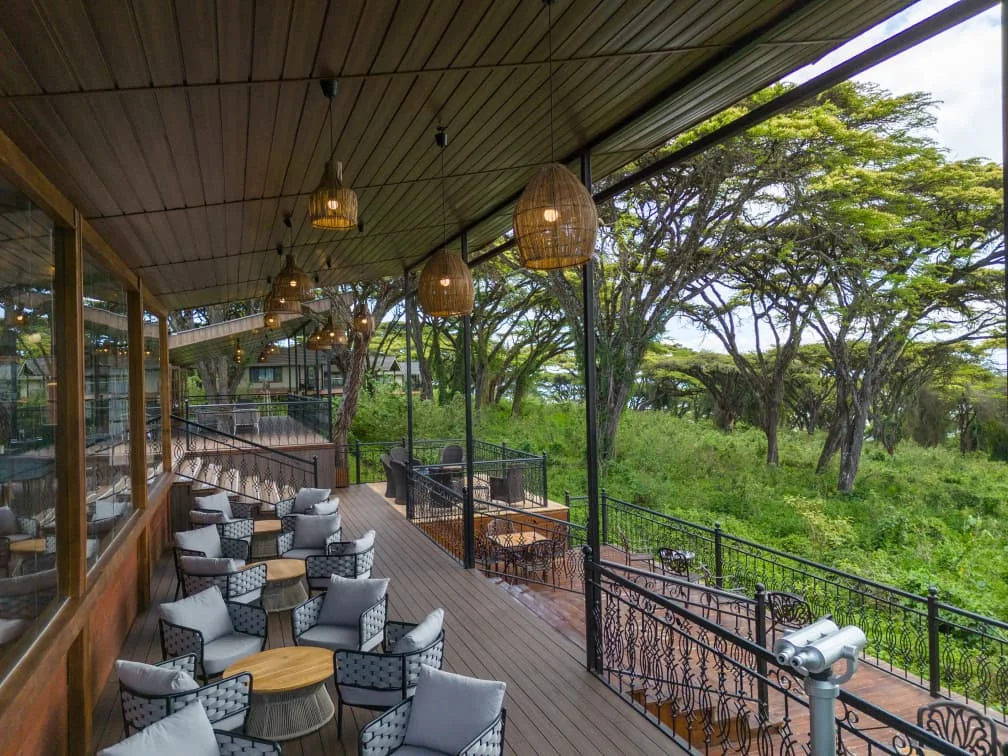 Ngorongoro lion's paw 
