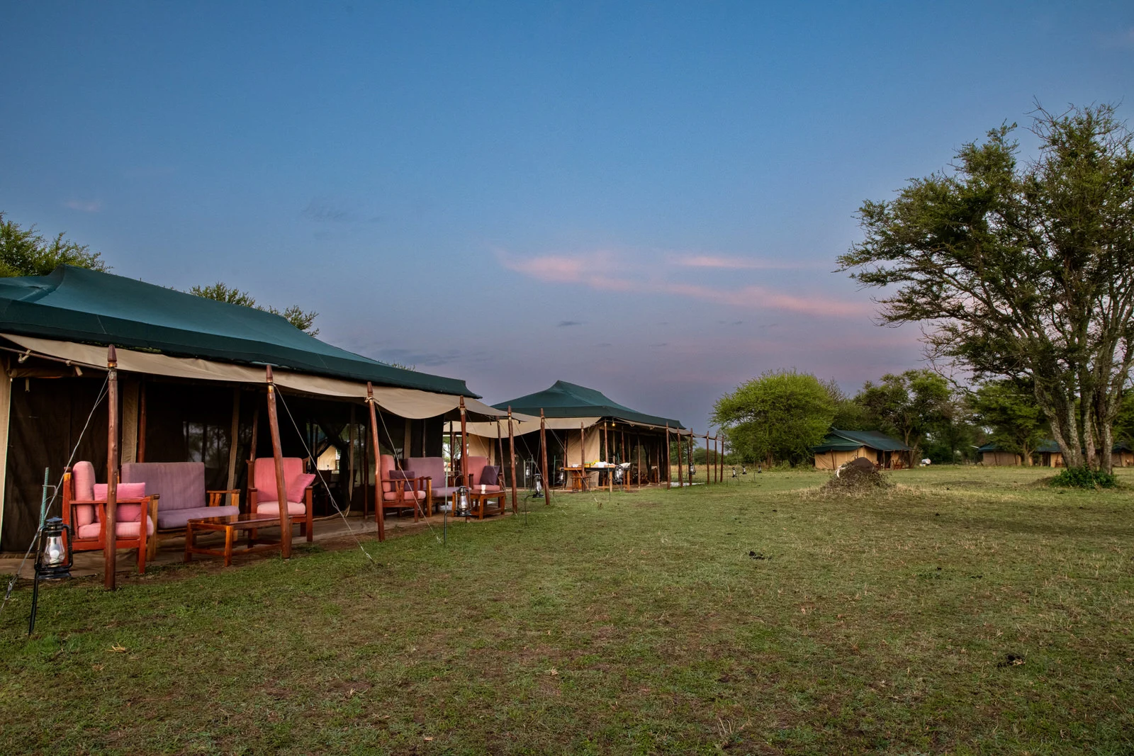 Mara Under Camvas  – photo 3