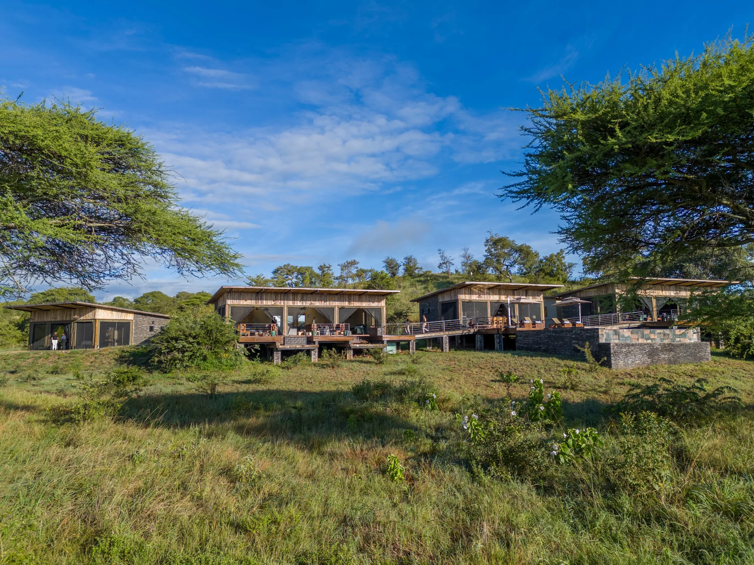 Tarangire elephant springs