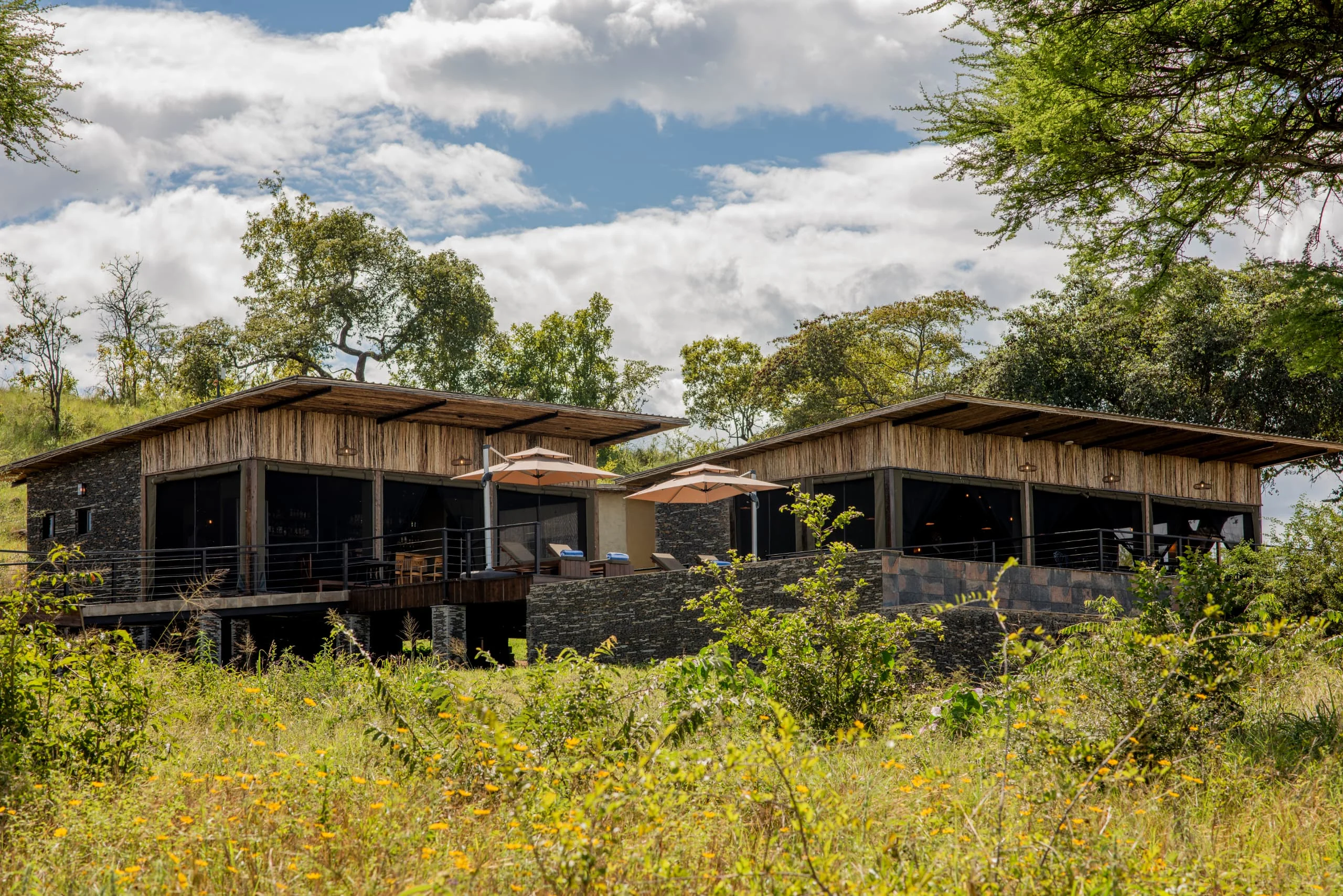 Tarangire elephant springs