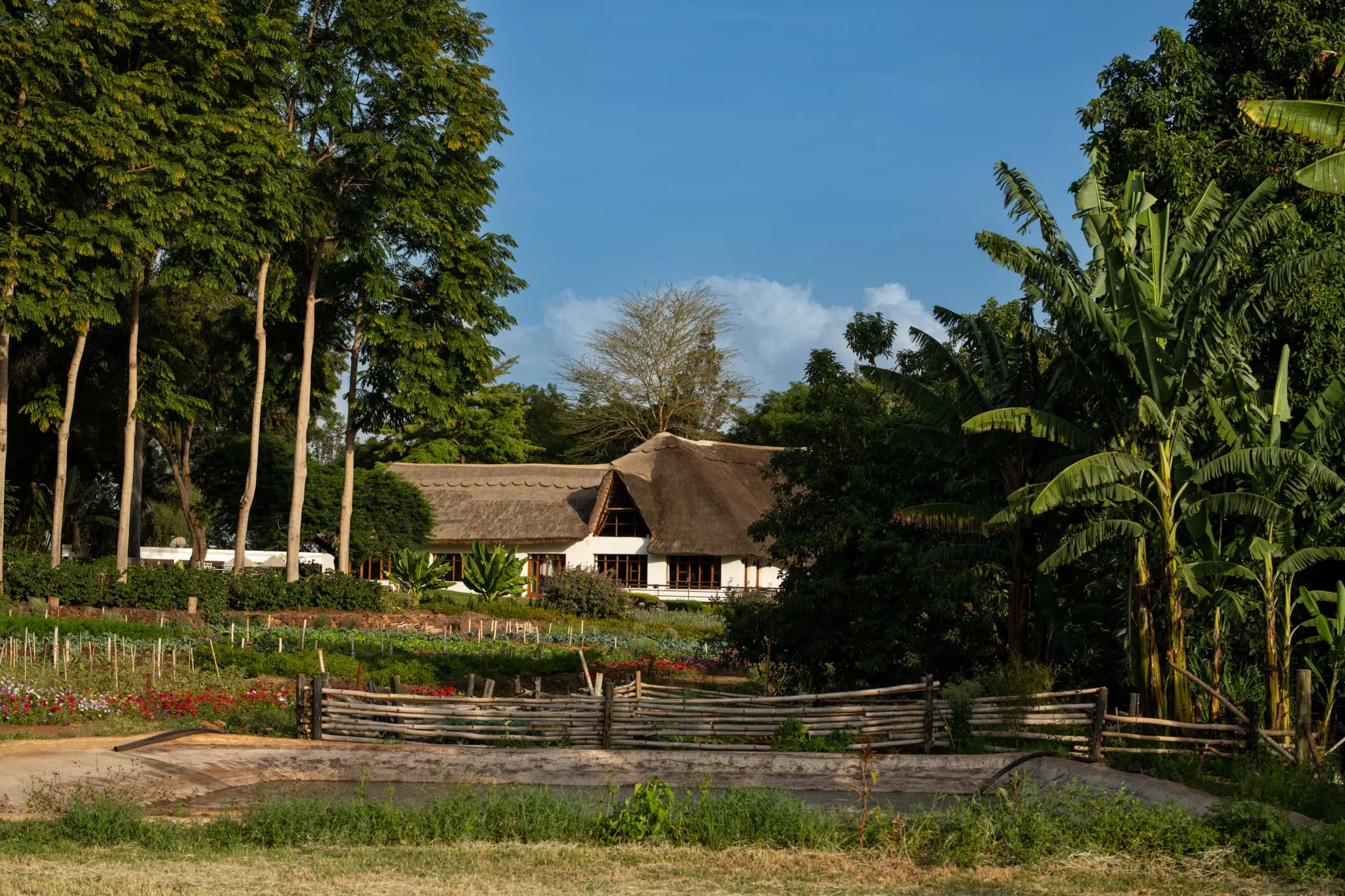Ngorongoro farm house