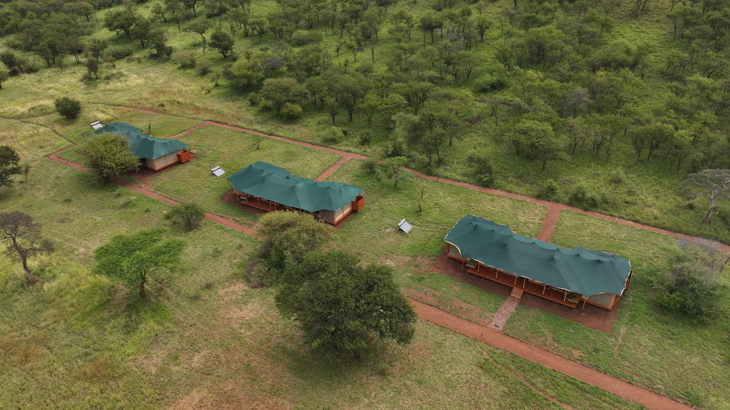 Safari haven serengeti