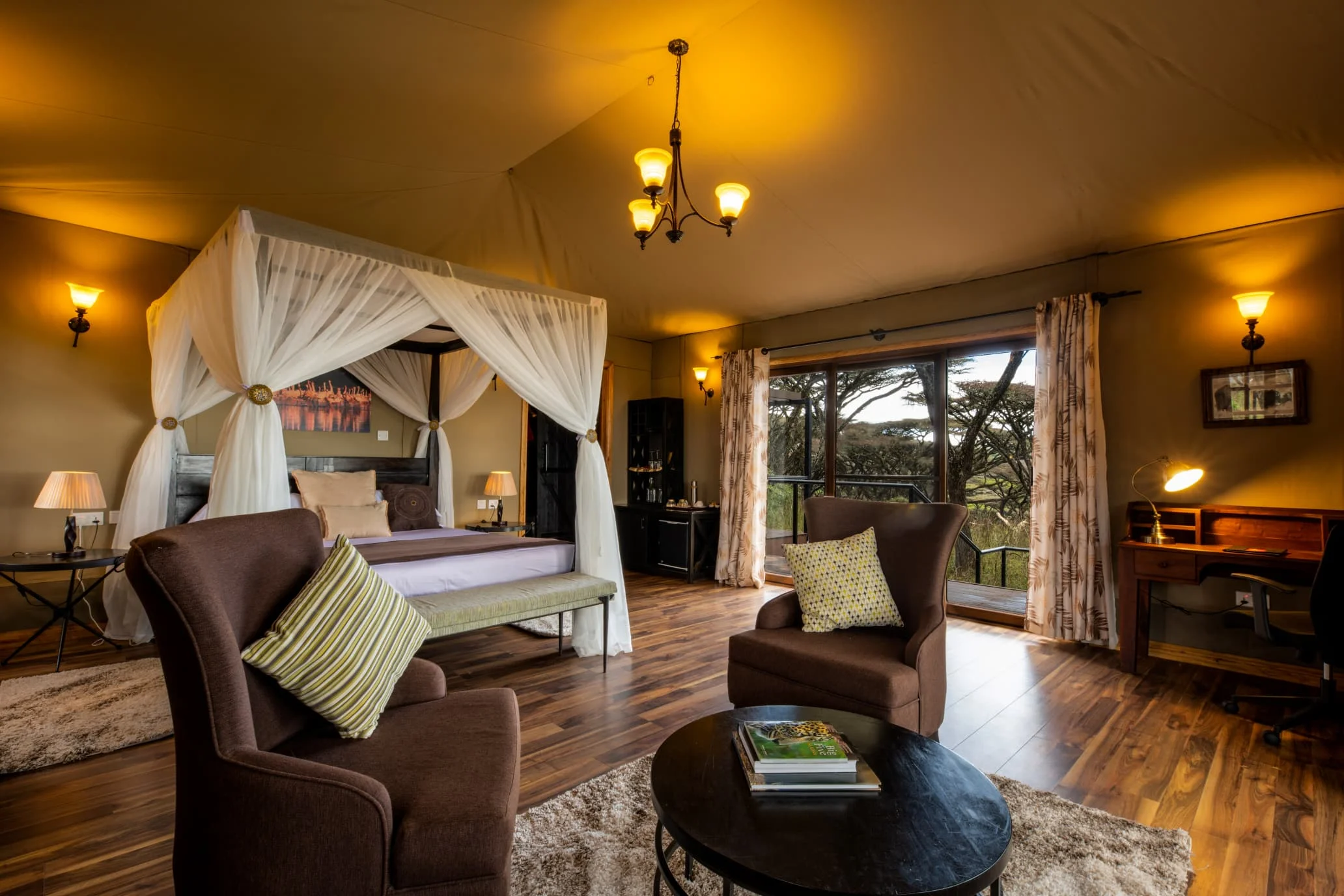 Ngorongoro lion's paw 