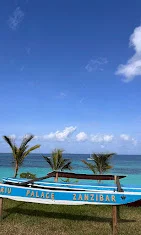 Hotel Riu Palace Zanzibar – photo 11