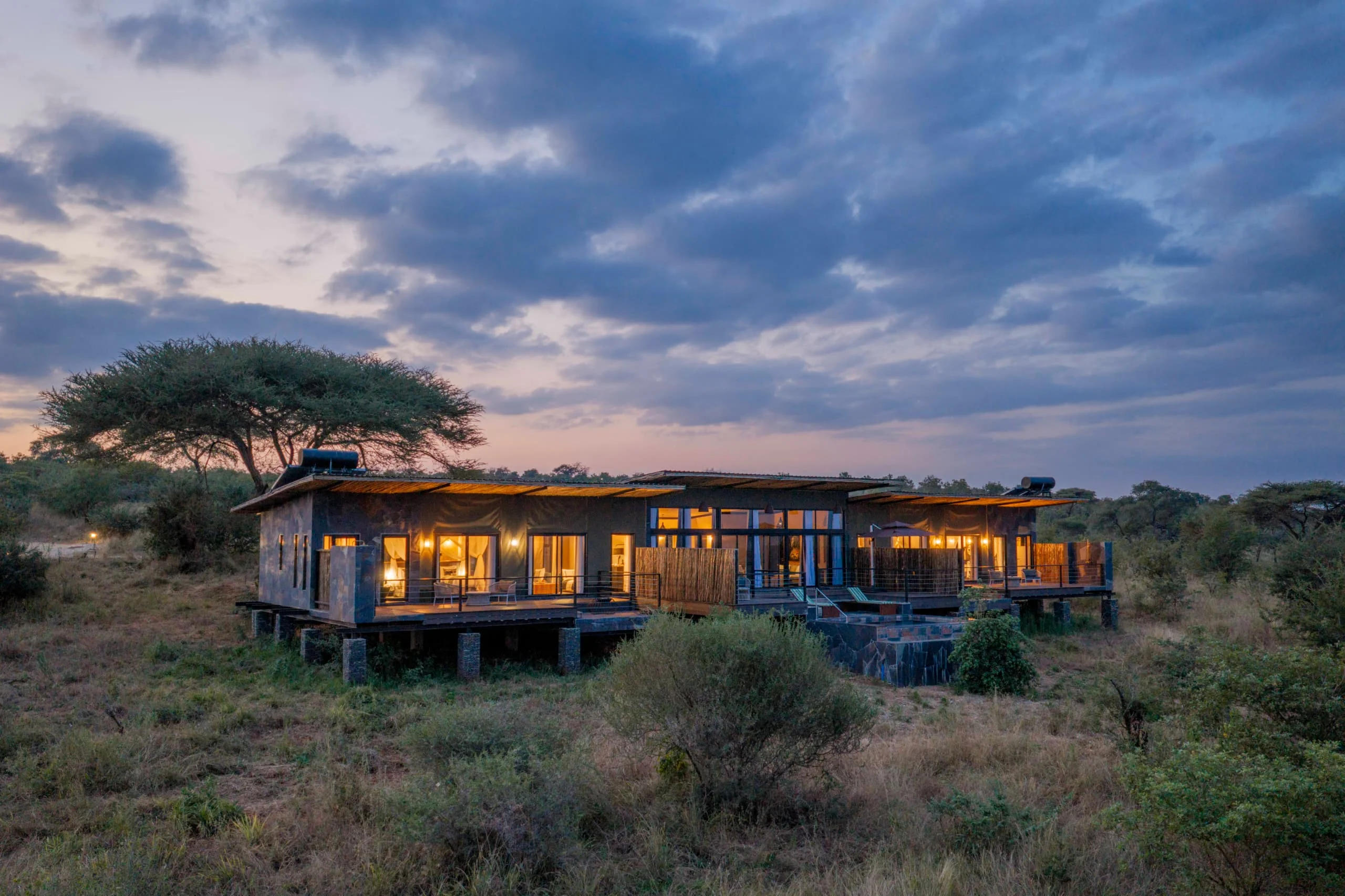 Tarangire elephant springs