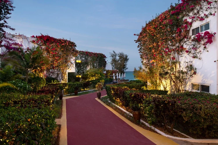 Beautiful paved garden walkway lined with vibrant red flowers and lighting.