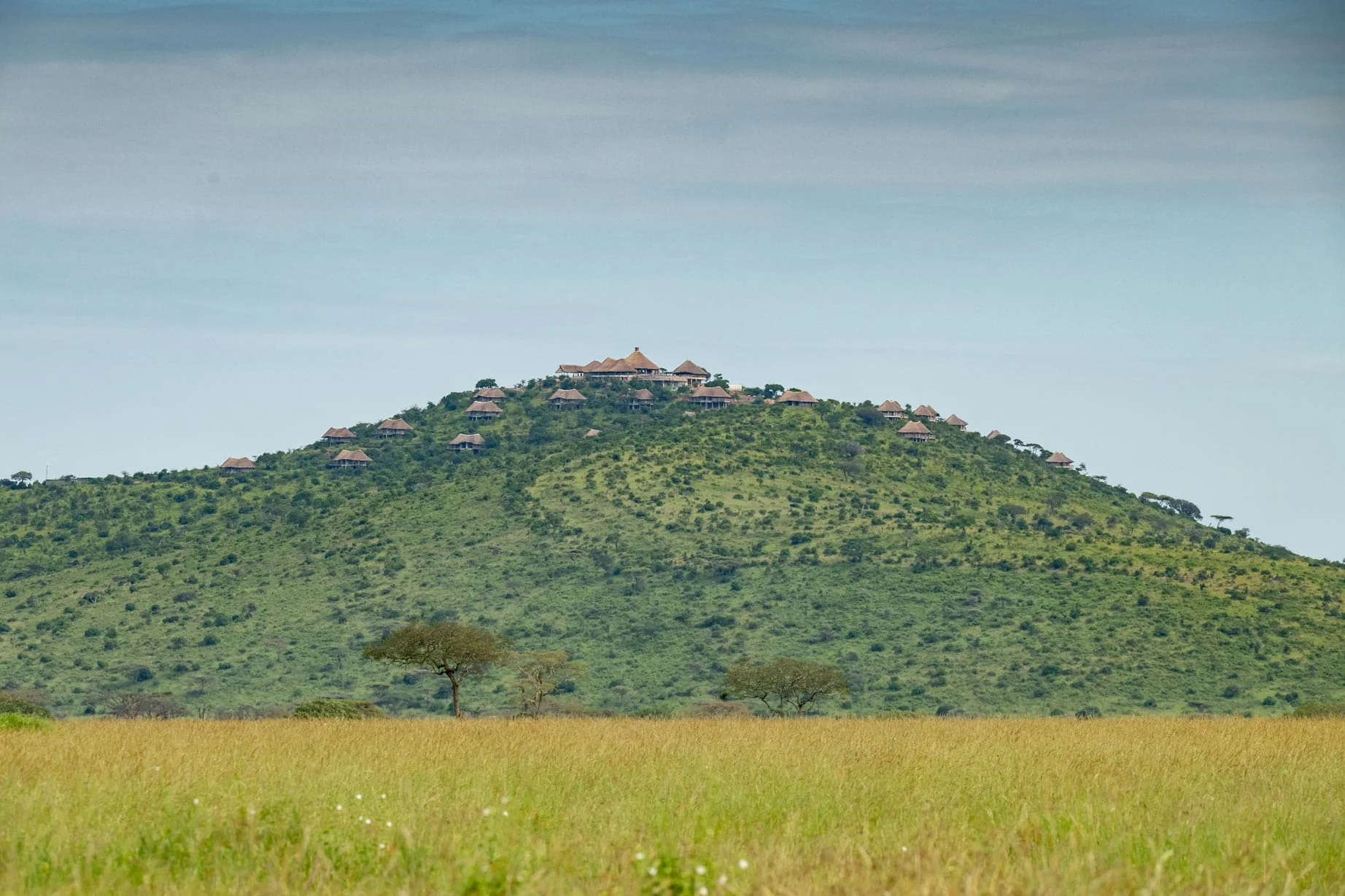 Serengeti lake magadi