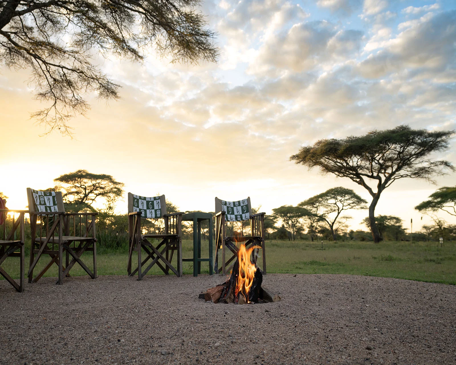 Ndutu safari lodge – photo 6