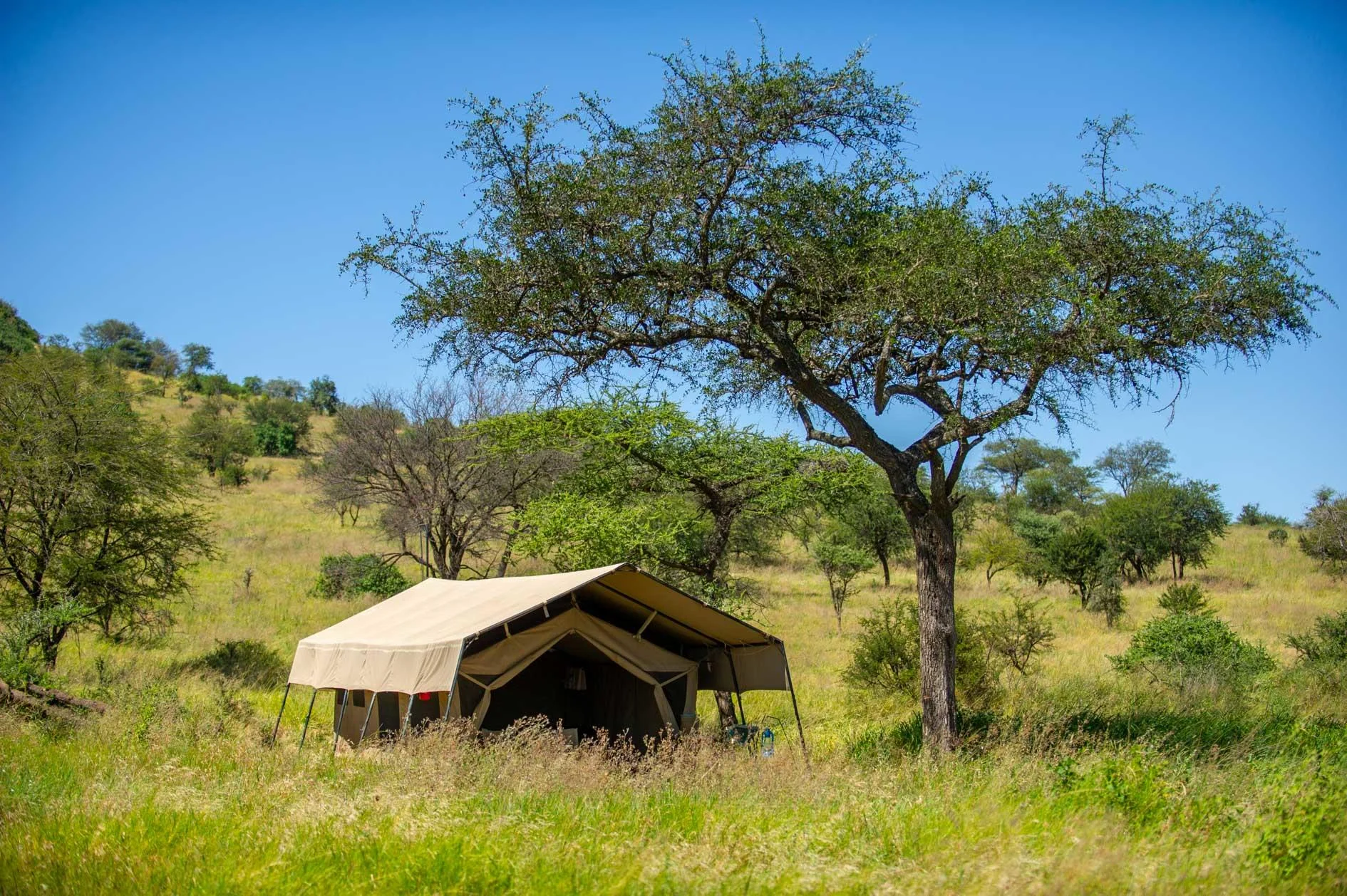 Serengeti Kati Kati Tented Camp – photo 13