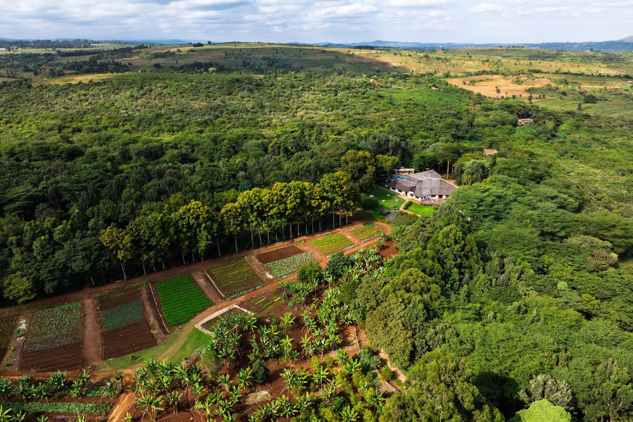 Ngorongoro farm house