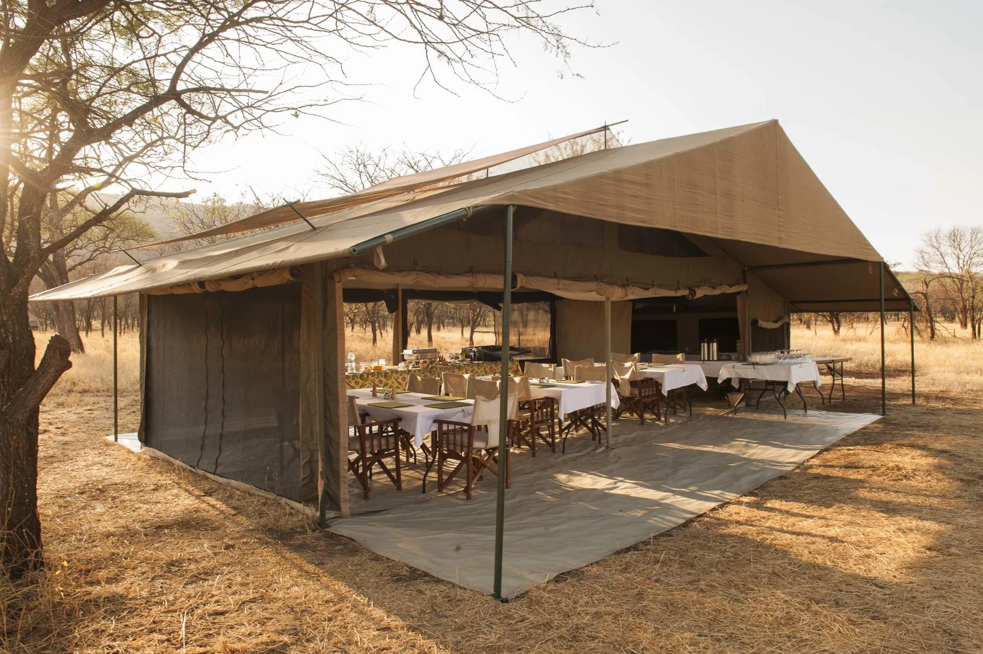 Ndutu Kati Kati Tented Camp – photo 4