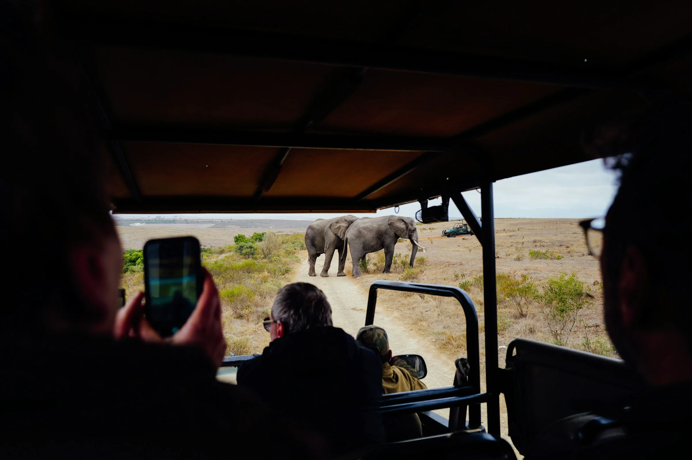 Safari Photography Tips: A Practical Tanzania Guide