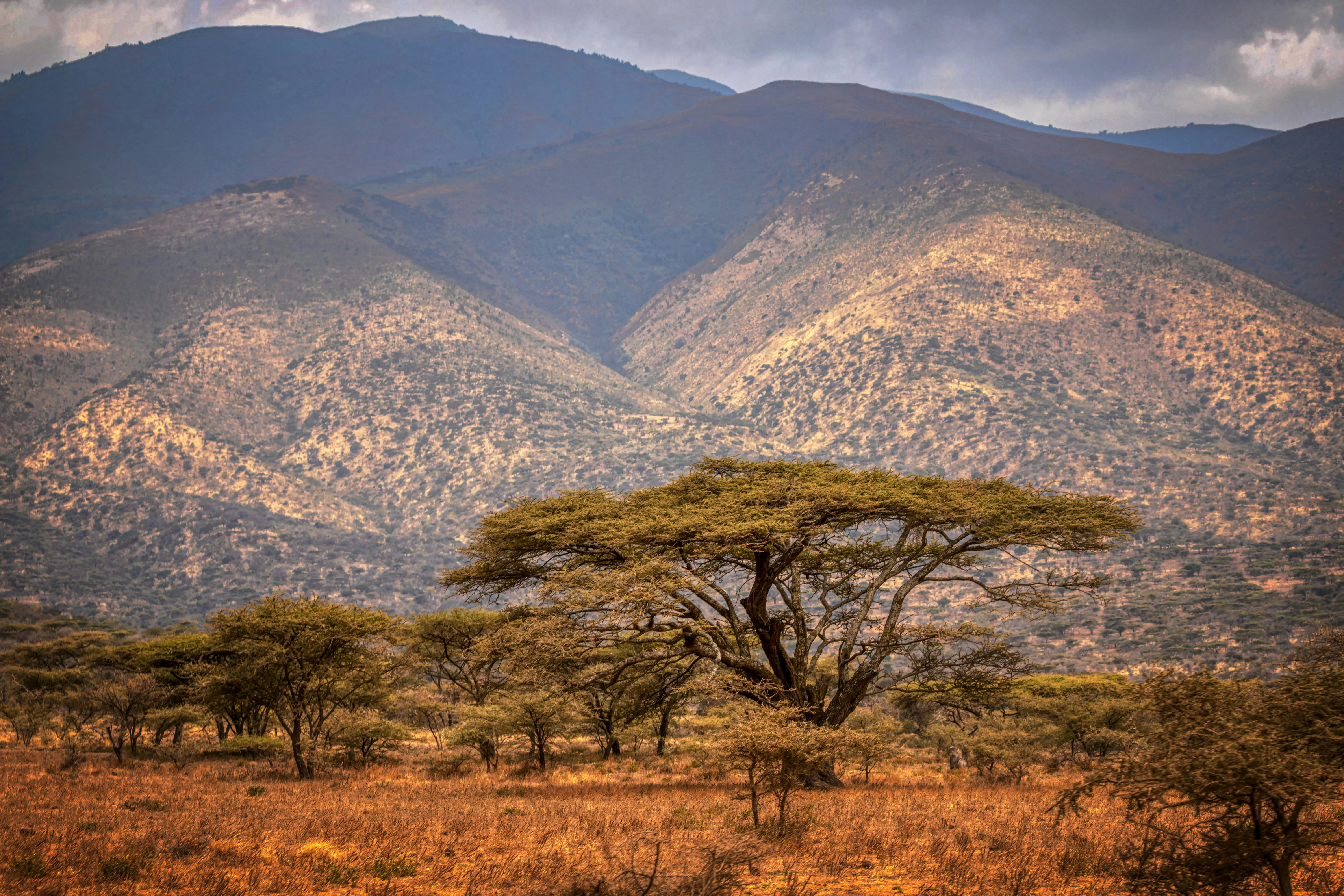 Best Time to Visit Tanzania: Seasons, Safaris