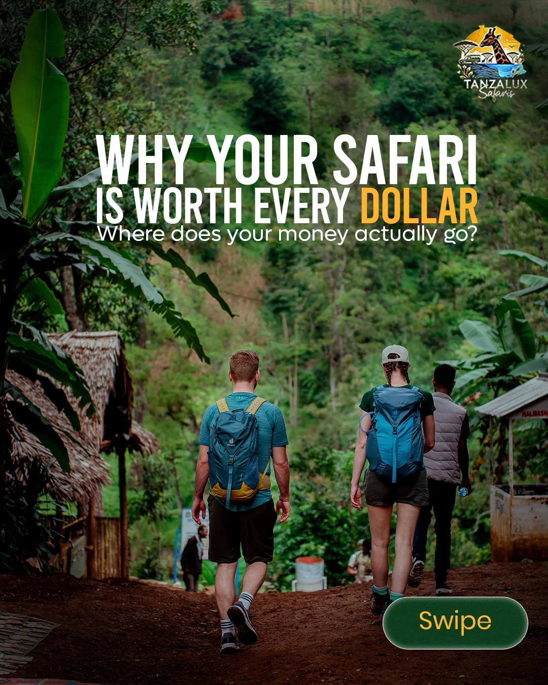 Why Your Tanzania Safari Is Worth Every Dollar: Where Your Safari Money Really Goes