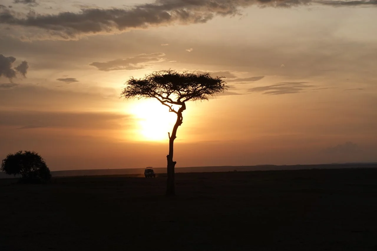 Tanzania’s Peak Safari Season Begins as Thousands of Tourists Arrive for Wildlife Adventures