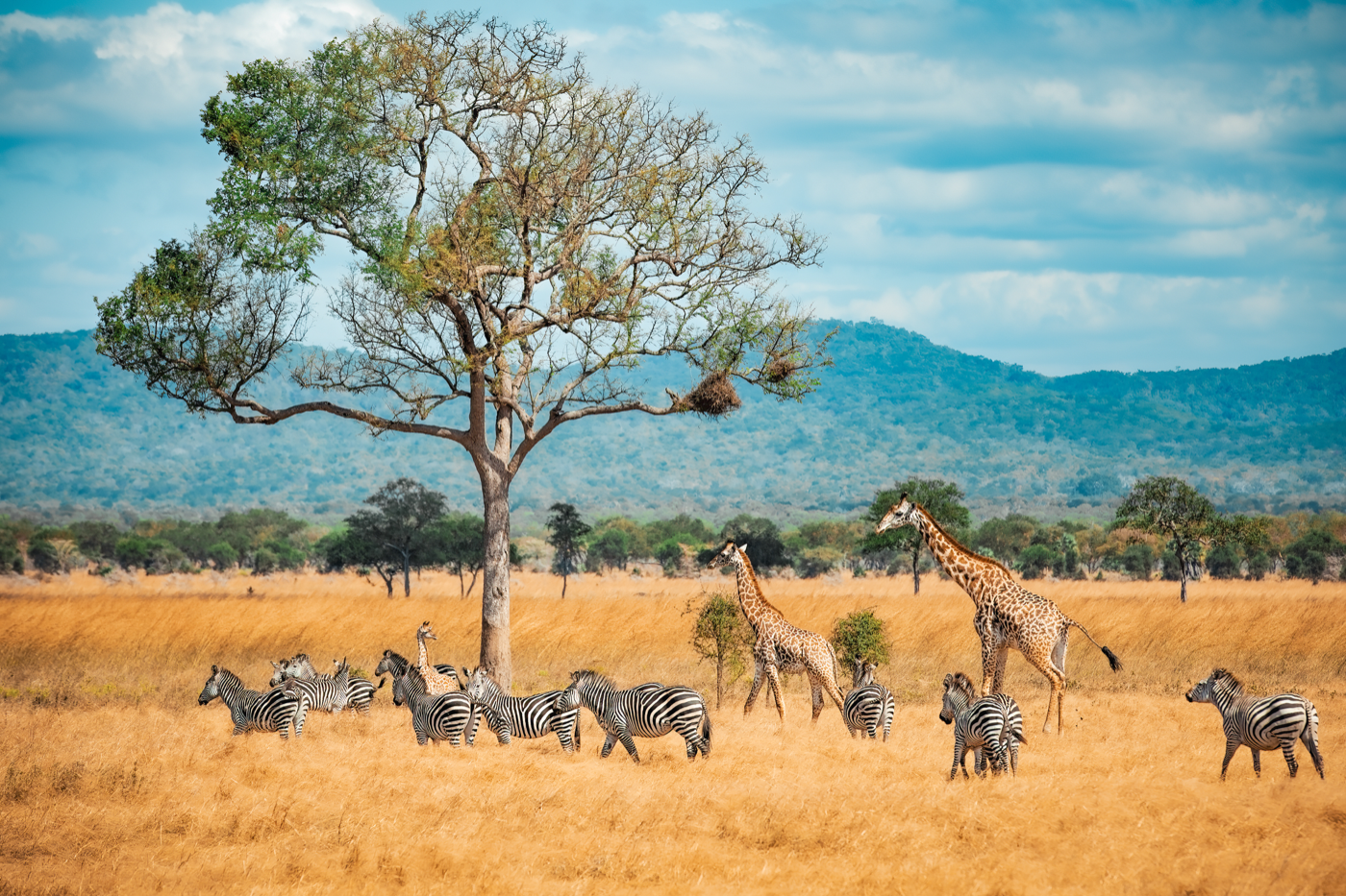 Momella Lakes: Arusha National Park's Canoe Safari55