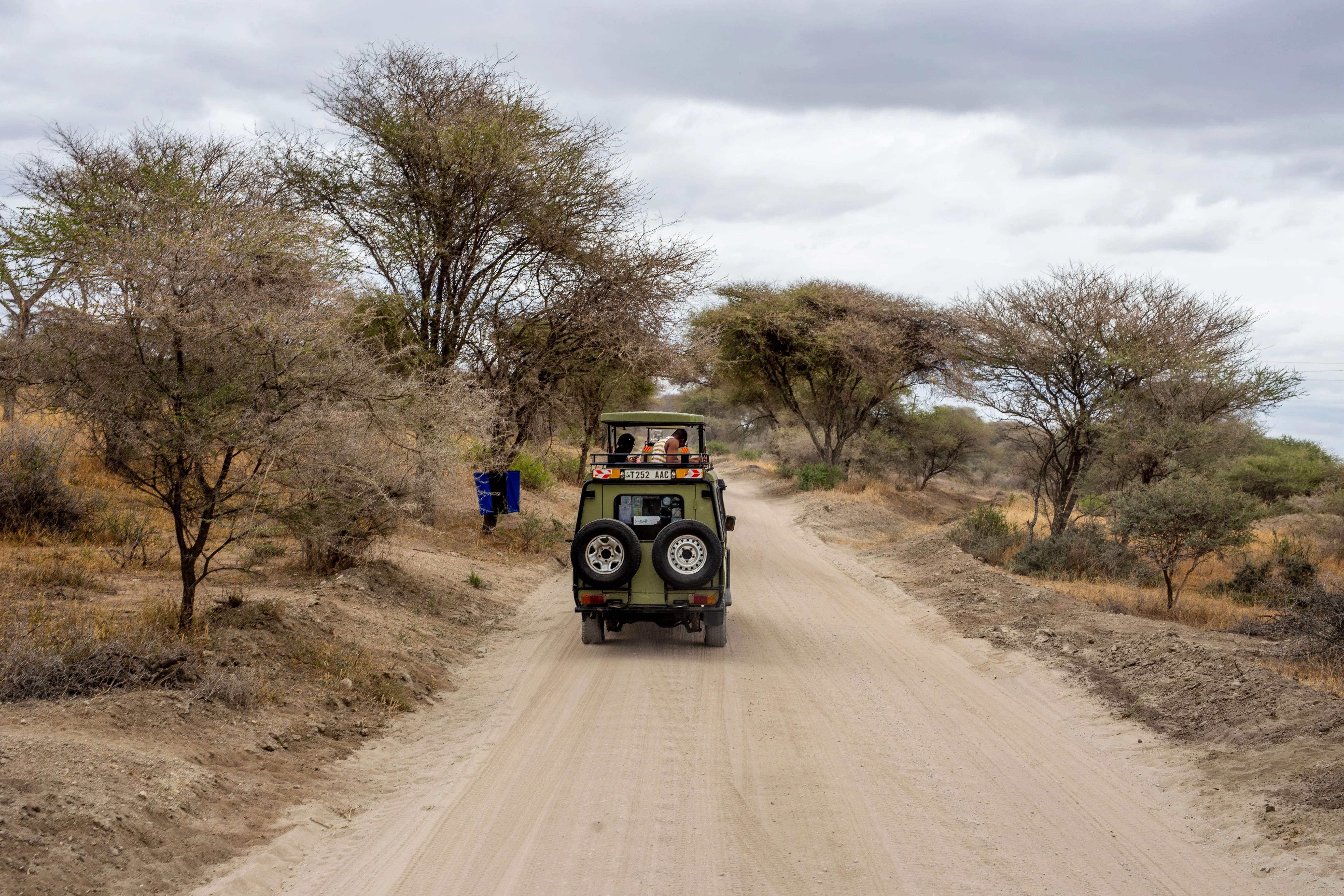 How Much Does a Tanzania Safari Cost in 2026? A Complete Guide for First-Time Visitors