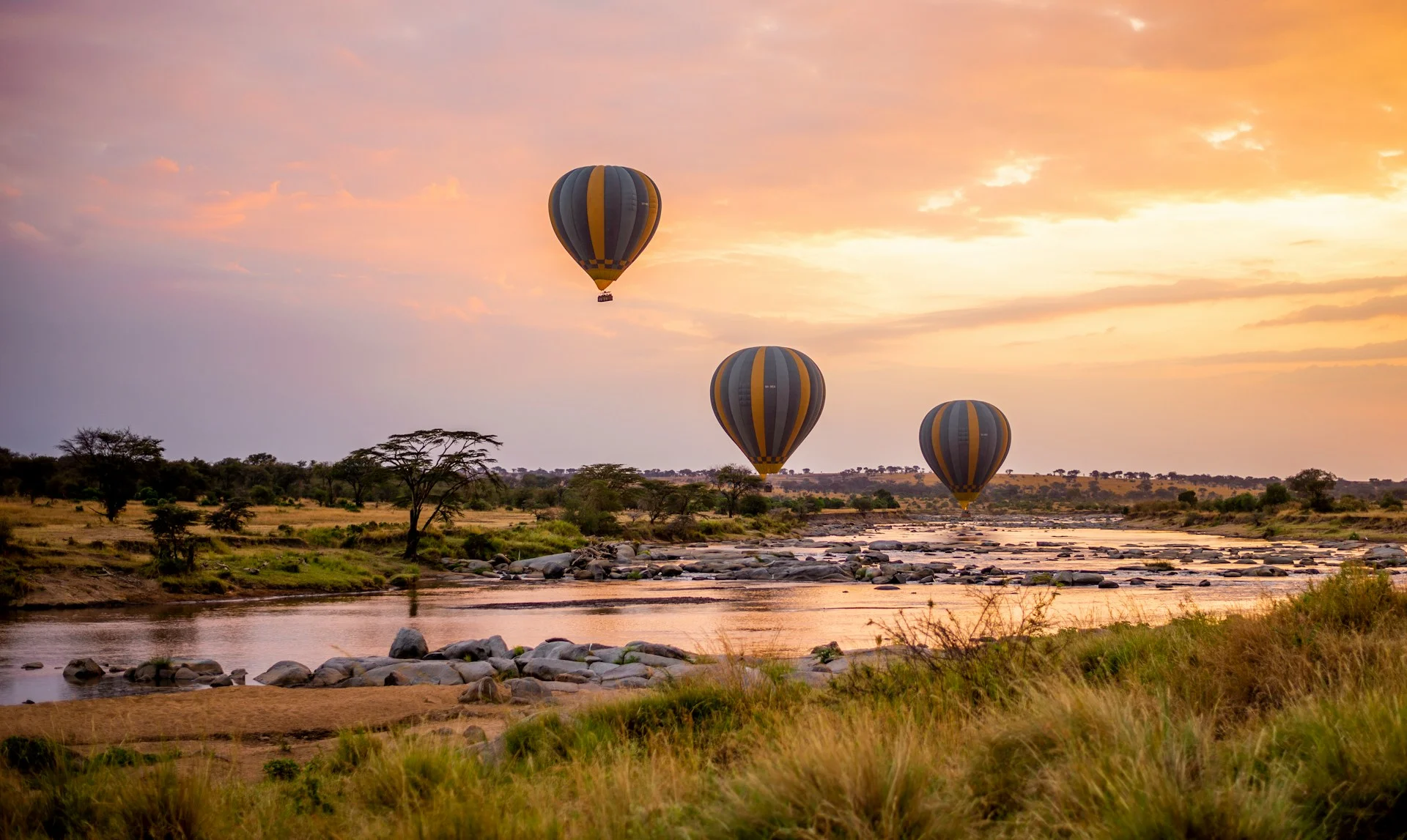 Serengeti Balloon Safari Guide: Costs, Packages & 20 FAQs