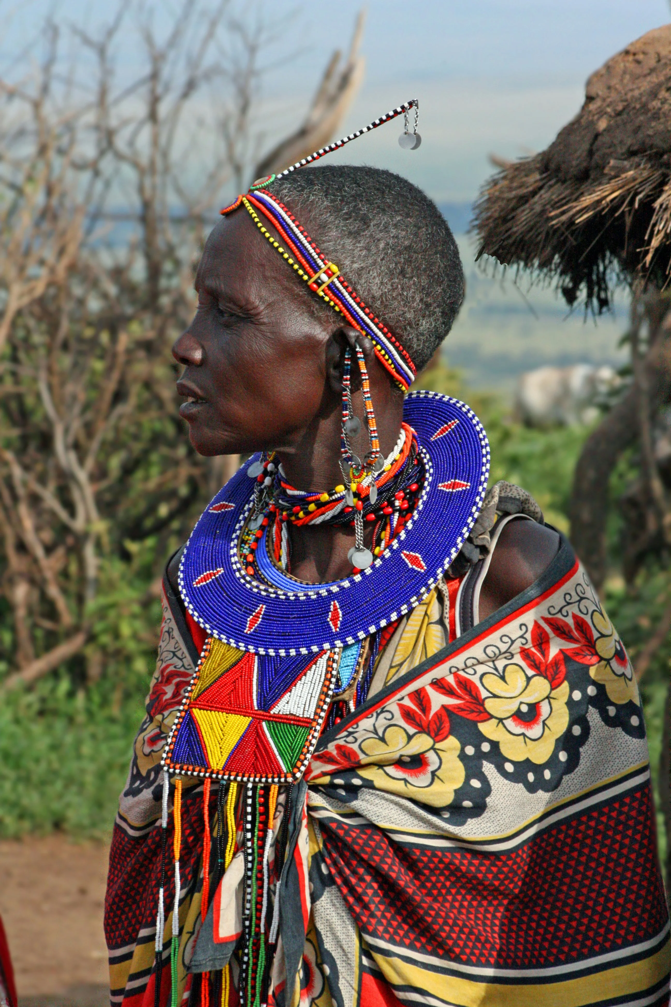 Maasai Bomas in Tanzania: A Journey into Living African Culture