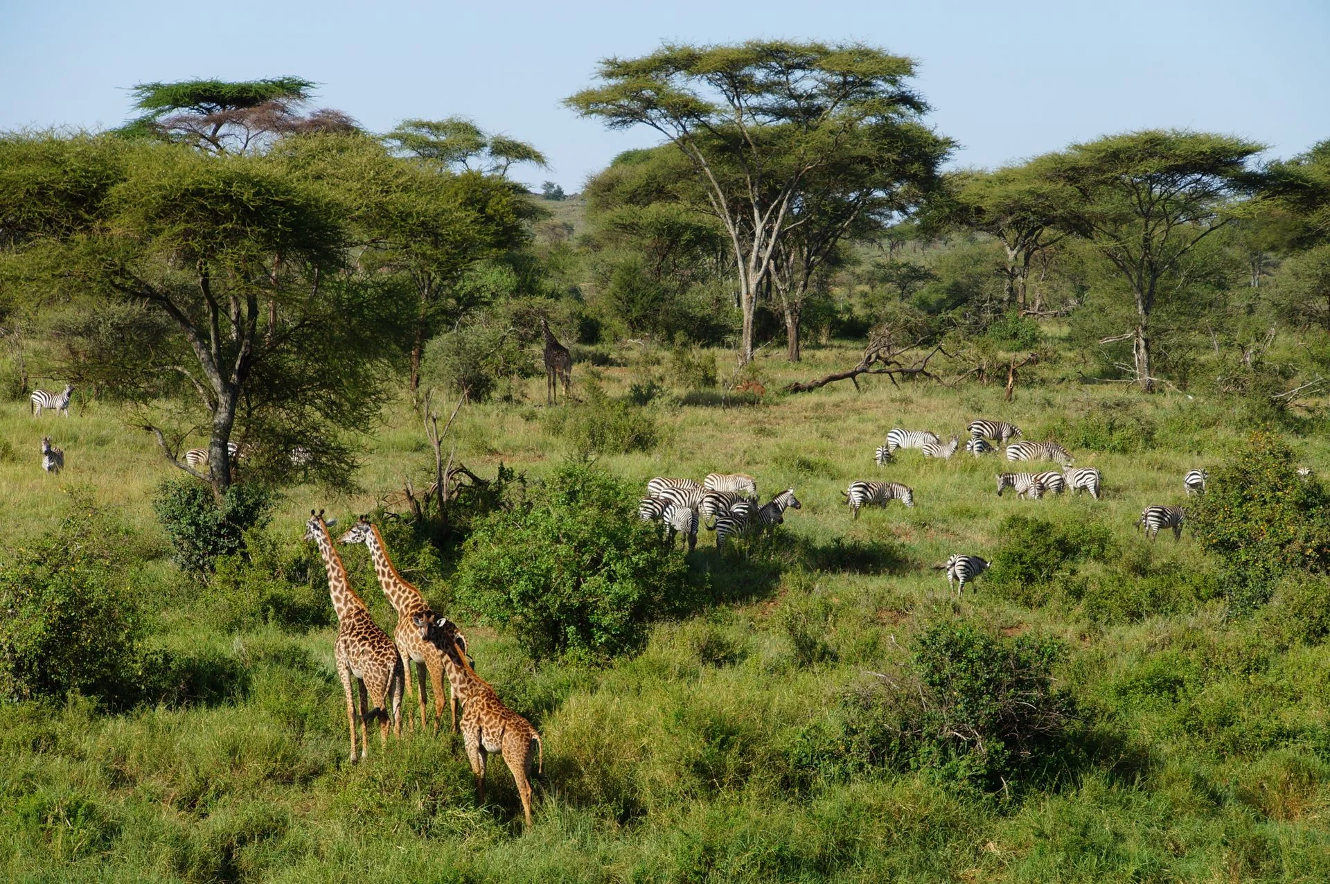 Arusha National Park: Tanzania’s Best-Kept Safari Secret