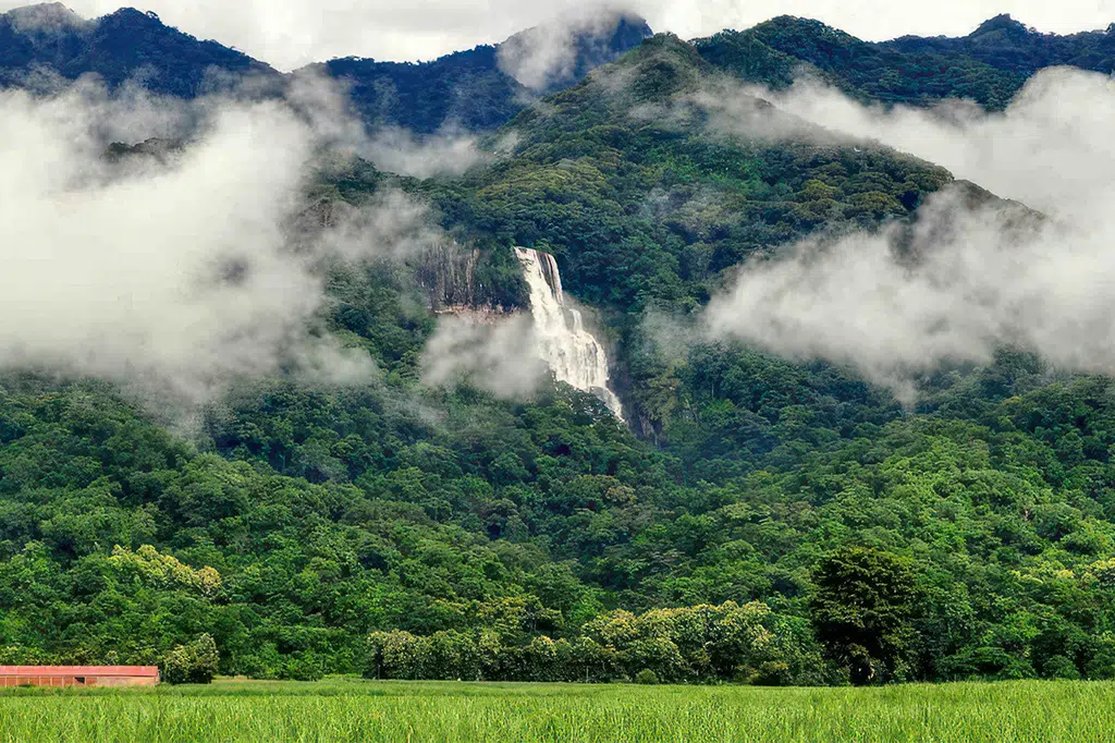 Udzungwa Mountains National Park – photo 4